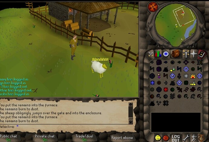 Screenshot_22-7-2025_165541_2004.lostcity.rs