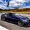 beast206