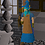 Danewolf